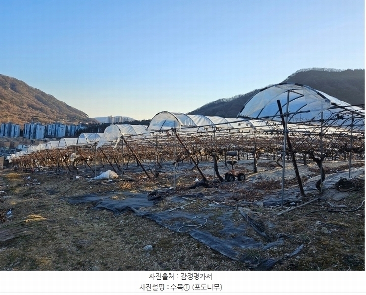 2024타경6448 경기도 남양주시 화도읍 가곡리 227 농지 경매 이미지