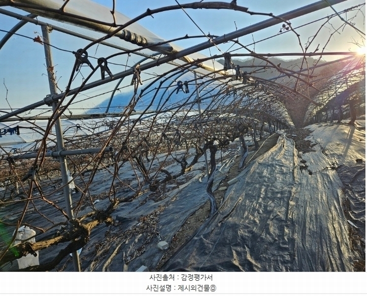 2024타경6448 경기도 남양주시 화도읍 가곡리 227 농지 경매 이미지