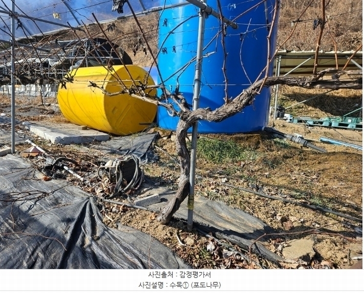 2024타경6448 경기도 남양주시 화도읍 가곡리 227 농지 경매 이미지