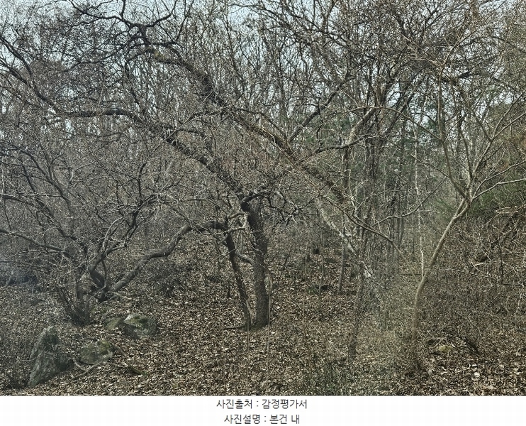 2024타경86468 경기도 가평군 청평면 호명리 146-107 임야 경매 이미지