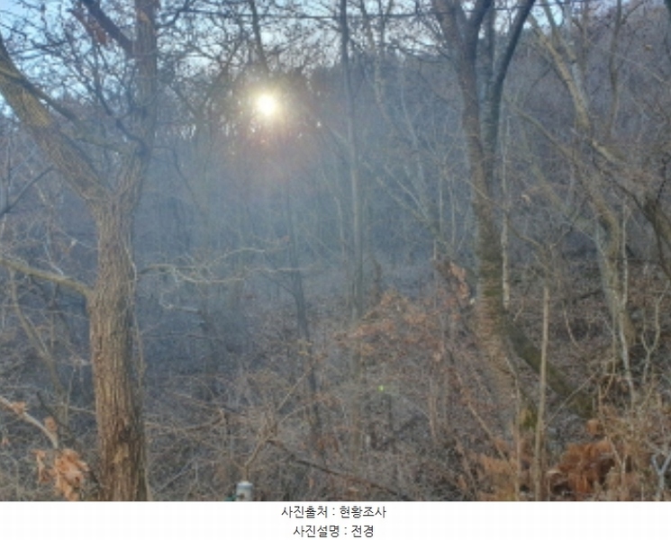 2024타경86468 경기도 가평군 청평면 호명리 146-107 임야 경매 이미지