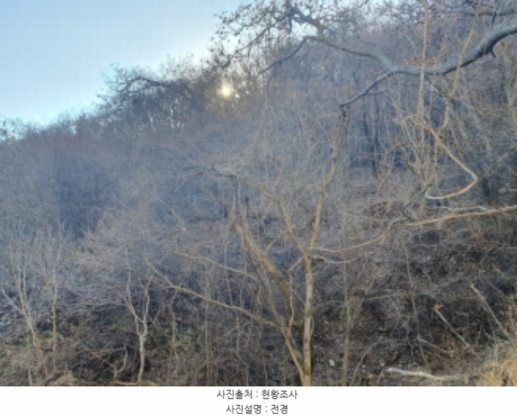 2024타경86468 경기도 가평군 청평면 호명리 146-107 임야 경매 이미지