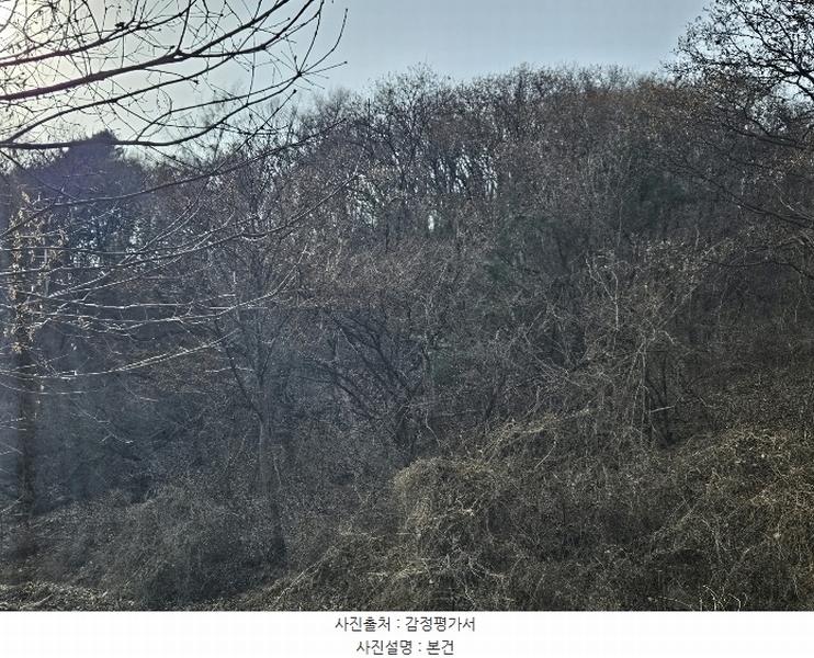 2024타경86468 경기도 가평군 청평면 호명리 146-107 임야 경매 이미지