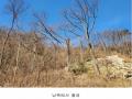 2024타경86710 경기도 가평군 청평면 호명리 382-33 임야 경매 이미지
