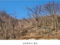 2024타경86710 경기도 가평군 청평면 호명리 382-33 임야 경매 이미지