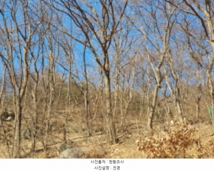 2024타경86710 경기도 가평군 청평면 호명리 382-33 임야 경매 이미지