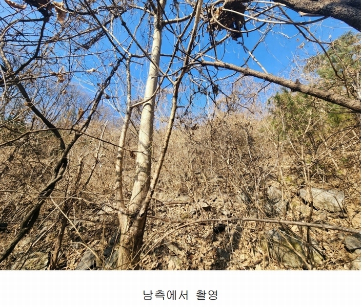 2024타경86710 경기도 가평군 청평면 호명리 382-33 임야 경매 이미지