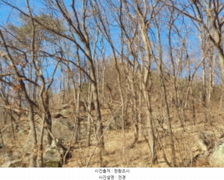 2024타경86710 경기도 가평군 청평면 호명리 382-33 임야 경매 이미지