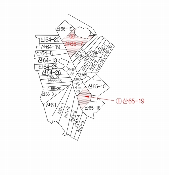2025타경362 경상북도 포항시 남구 연일읍 학전리 산66-7 임야 경매 이미지