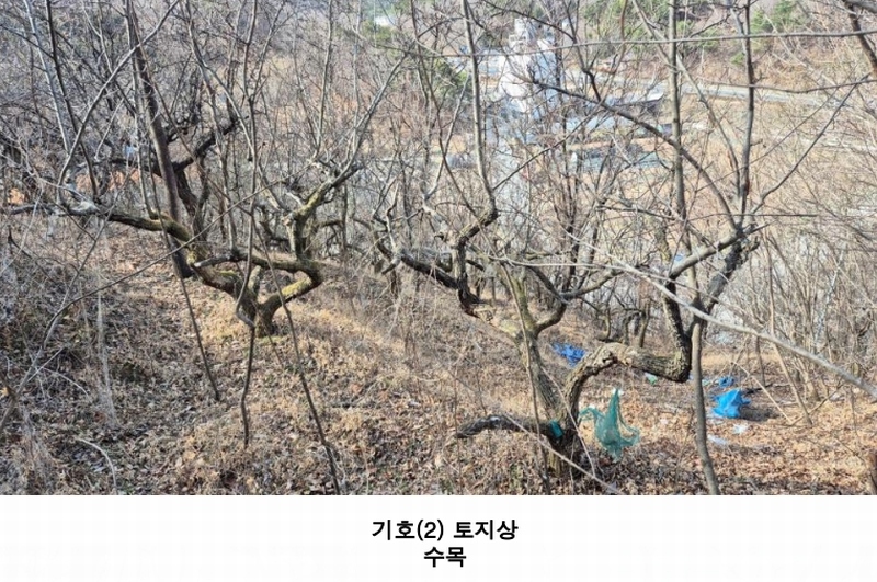 2025타경539 경상남도 진주시 하대동 663-2 농지 경매 이미지