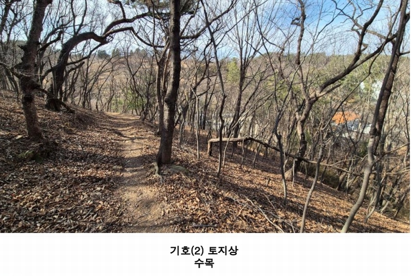 2025타경539 경상남도 진주시 하대동 663-2 농지 경매 이미지