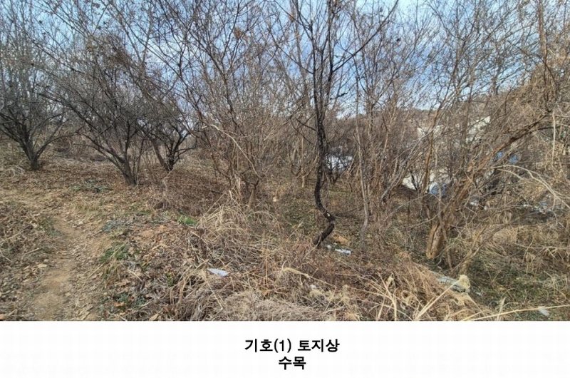 2025타경539 경상남도 진주시 하대동 663-2 농지 경매 이미지