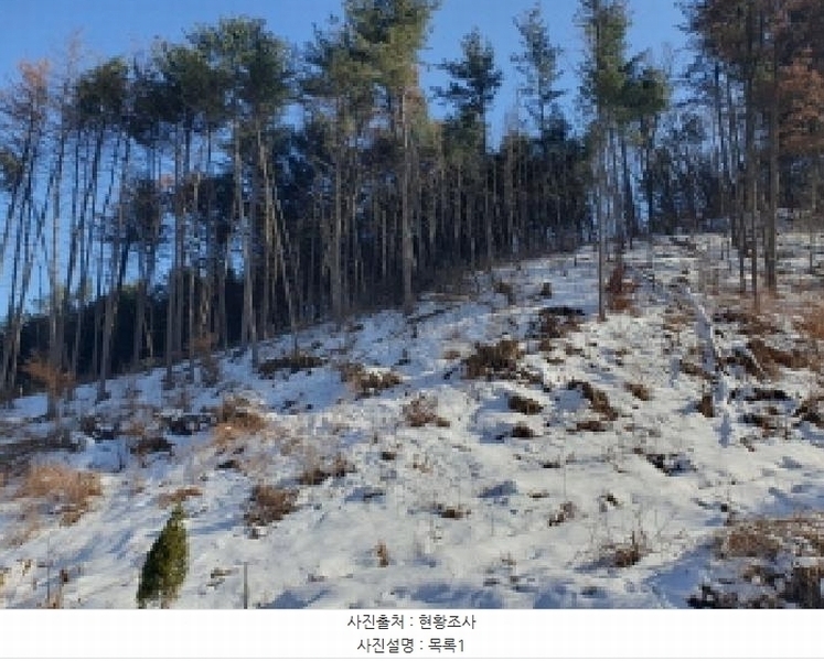 2025타경70750 경기도 가평군 청평면 대성리 185-39 임야 경매 이미지