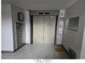 2025타경71362 경기도 남양주시 경춘로1308번길 8-12, 대명아파트 108동 9층 906호 아파트[공급24평형] 경매 이미지