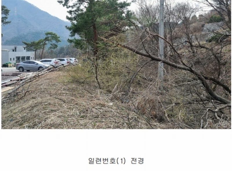 2025타경71389 경기도 가평군 설악면 선촌리 527 공장 경매 이미지