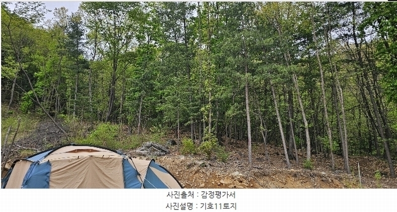 2023타경71704 경기도 가평군 청평면 고성리 산165 임야 경매 이미지
