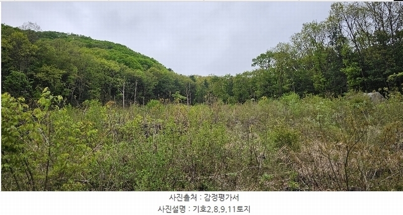 2023타경71704 경기도 가평군 청평면 고성리 산165 임야 경매 이미지