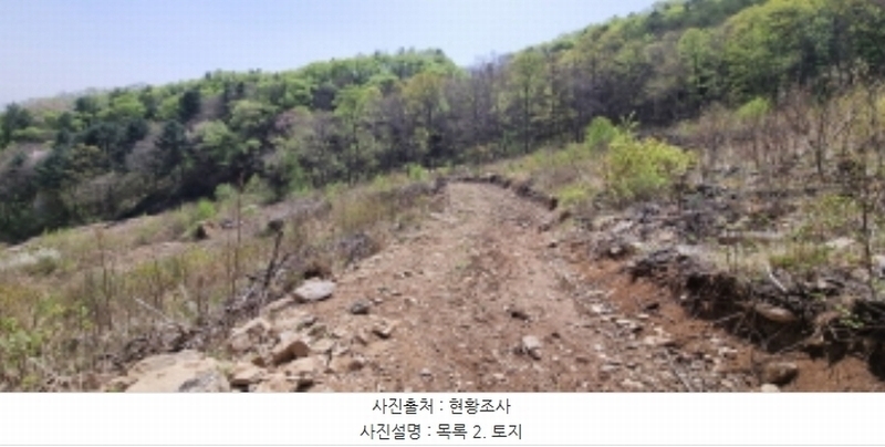 2023타경71704 경기도 가평군 청평면 고성리 산165 임야 경매 이미지