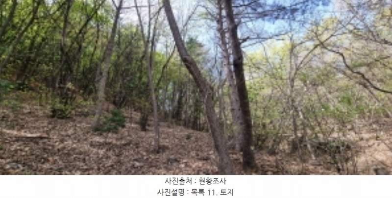 2023타경71704 경기도 가평군 청평면 고성리 산165 임야 경매 이미지