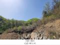 2023타경71704 경기도 가평군 청평면 고성리 산165 임야 경매 이미지