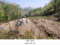 2023타경71704 경기도 가평군 청평면 고성리 산165 임야 경매 이미지