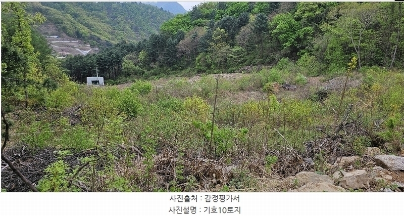 2023타경71704 경기도 가평군 청평면 고성리 산165 임야 경매 이미지