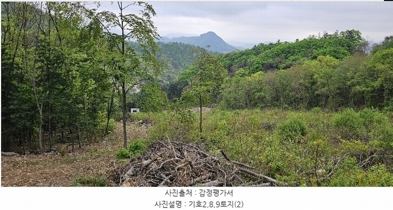 2023타경71704 경기도 가평군 청평면 고성리 산165 임야 경매 이미지