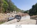 2023타경71704 경기도 가평군 청평면 고성리 산165 임야 경매 이미지