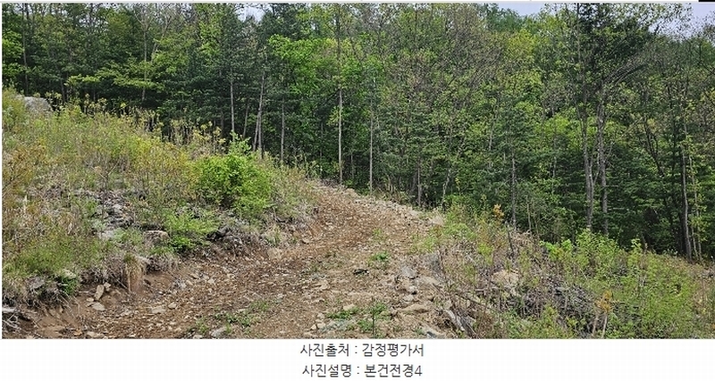 2023타경71704 경기도 가평군 청평면 고성리 산165 임야 경매 이미지