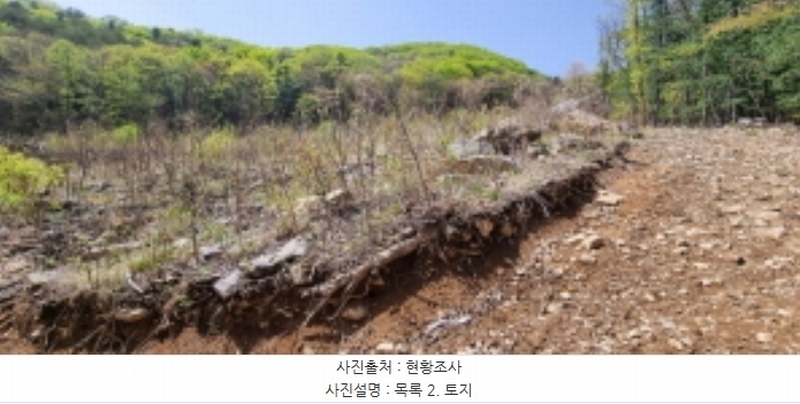 2023타경71704 경기도 가평군 청평면 고성리 산165 임야 경매 이미지
