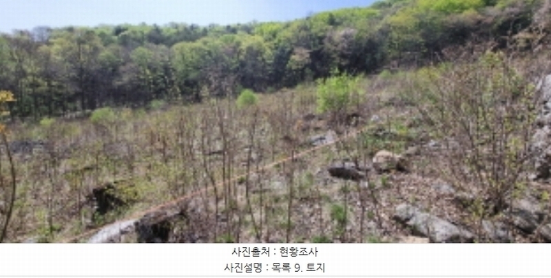 2023타경71704 경기도 가평군 청평면 고성리 산165 임야 경매 이미지