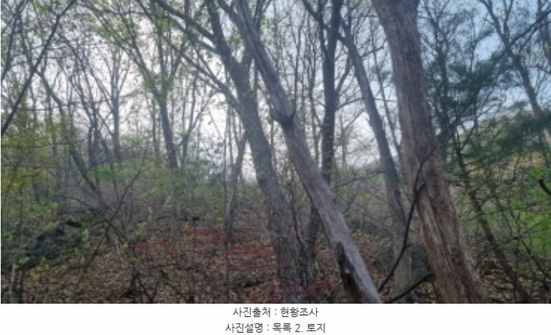 2024타경1931 경기도 가평군 청평면 대성리 산101-1 임야 경매 이미지