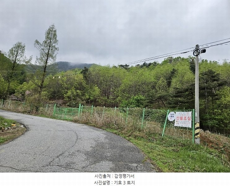 2024타경1931 경기도 가평군 청평면 대성리 산101-1 임야 경매 이미지