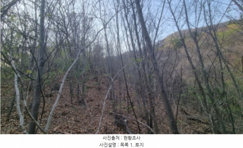 2024타경1931 경기도 가평군 청평면 대성리 산101-1 임야 경매 이미지