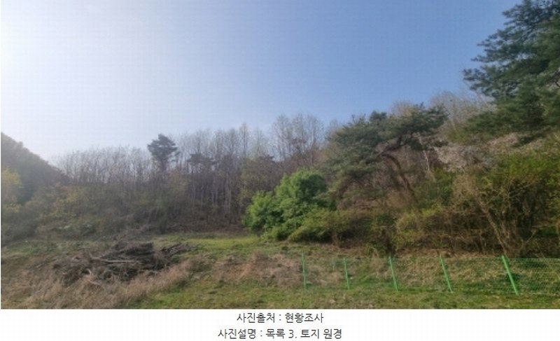 2024타경1931 경기도 가평군 청평면 대성리 산101-1 임야 경매 이미지