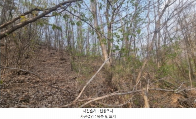 2024타경1931 경기도 가평군 청평면 대성리 산101-1 임야 경매 이미지