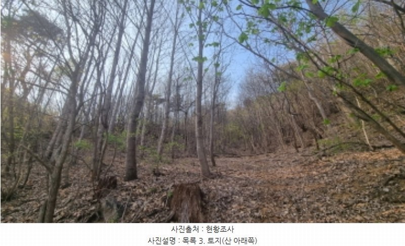 2024타경1931 경기도 가평군 청평면 대성리 산101-1 임야 경매 이미지
