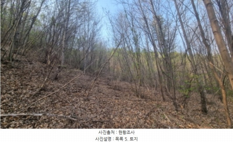 2024타경1931 경기도 가평군 청평면 대성리 산101-1 임야 경매 이미지