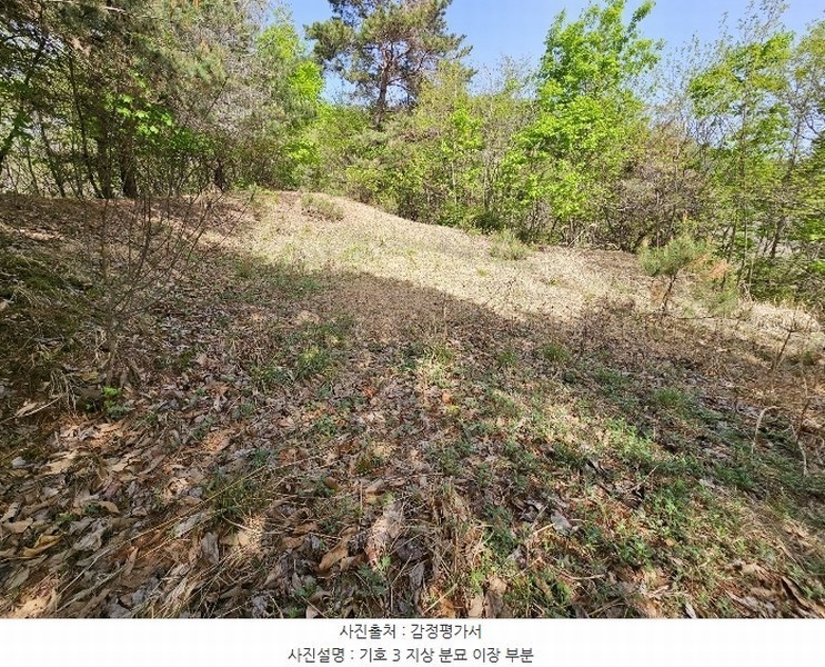 2024타경1931 경기도 가평군 청평면 대성리 산101-1 임야 경매 이미지