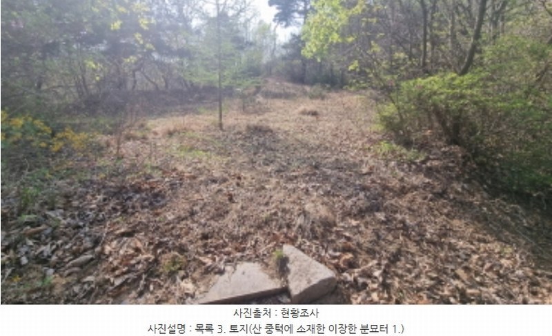2024타경1931 경기도 가평군 청평면 대성리 산101-1 임야 경매 이미지