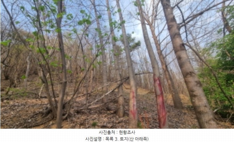2024타경1931 경기도 가평군 청평면 대성리 산101-1 임야 경매 이미지