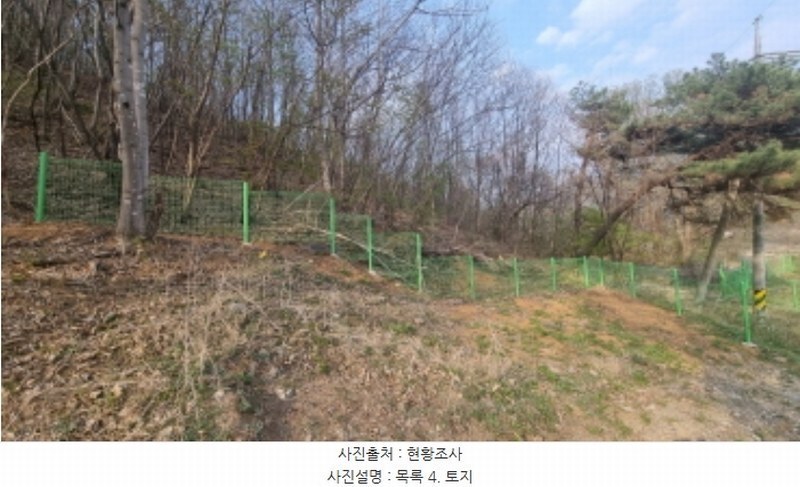 2024타경1931 경기도 가평군 청평면 대성리 산101-1 임야 경매 이미지