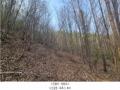 2024타경1931 경기도 가평군 청평면 대성리 산101-1 임야 경매 이미지