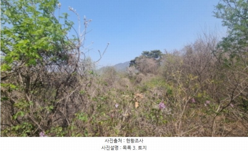 2024타경1931 경기도 가평군 청평면 대성리 산101-1 임야 경매 이미지