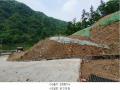 2024타경2088 경기도 가평군 청평면 하천리 산93-6 임야 경매 이미지