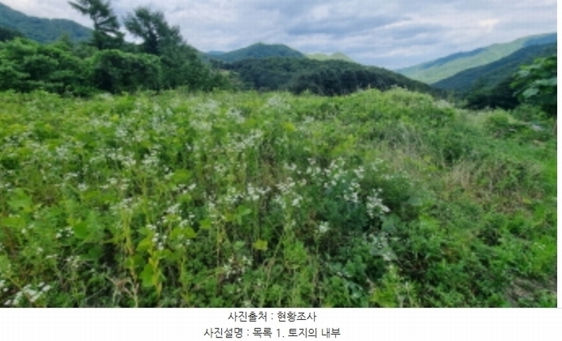 2024타경3289 경기도 가평군 북면 백둔리 213 농지 경매 이미지