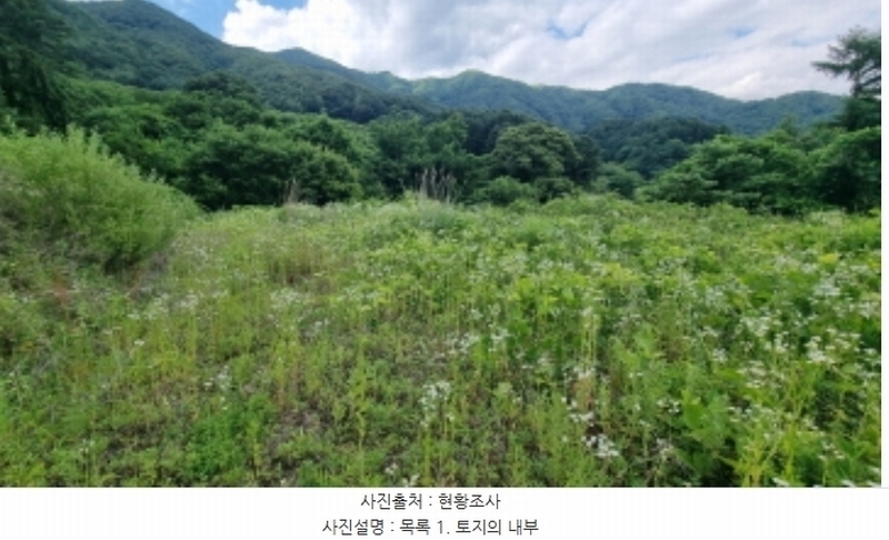 2024타경3289 경기도 가평군 북면 백둔리 213 농지 경매 이미지