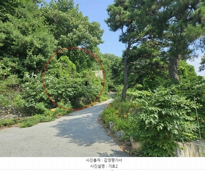 2024타경3432 경기도 가평군 청평면 대성리 321-177 임야 경매 이미지
