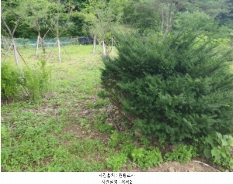 2024타경3791 경기도 가평군 설악면 회곡리 471-8 임야 경매 이미지