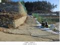 2024타경6493 경기도 남양주시 진접읍 금곡리 594-37 임야 경매 이미지